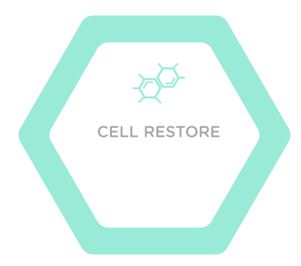 Methodologies Cell Restore