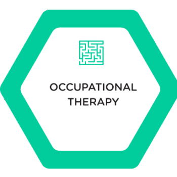 Methodologies-Occupational-Therapy Occupational Therapy