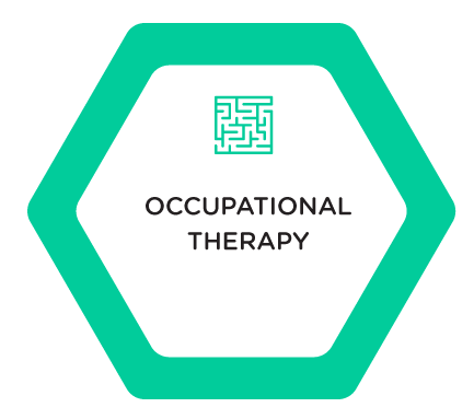 Methodologies Occupational Therapy